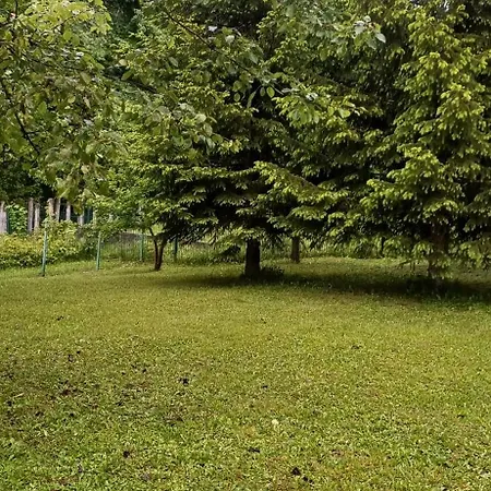 Gornja Mahala *